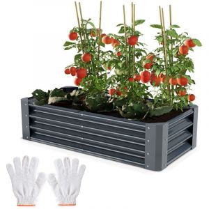 Carr&eacute; Potager de Jardin sur&eacute;lev&eacute; en acier Antracite 30x60x120cm S pour balcon ou jardin
