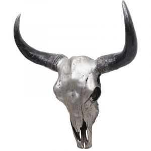 Hegele - Cr&acirc;ne d&eacute;co 45cm HHG-0154, troph&eacute;e t&ecirc;te de taureau en polyr&eacute;sine, int&eacute;rieur/ext&eacute;rieur, argent
