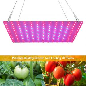 Lampe de Culture Spectre Complet led Grow Light Panneau 81 Leds Lampe de Plante uv et ir Lampes Horticoles de Croissance pour serre et plantes