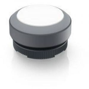 1.30.270.001/2208 x 22 fs Bouton-poussoir lumineux &agrave; rappel &agrave; rappel (l x l x h) 29.8 x 29.8 x 18.5 mm 1 pc(s) - Rafi