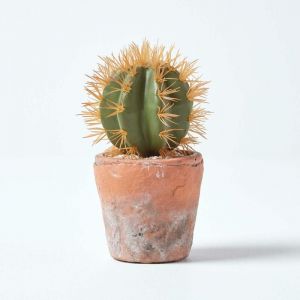 Petit cactus artificiel rond orange en pot en terracotta, 15 cm - Homescapes