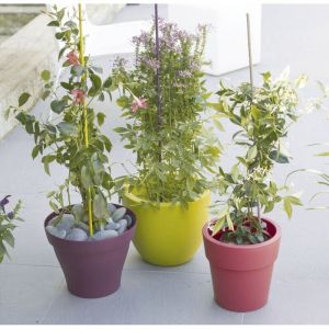 Tuteur Acier Plastifié 1,80m - Nortene