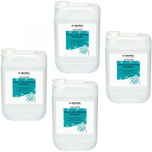 Lot de 4 bidons Saunatop Eucalyptus - Essences aromatiques Bidon de 6L pour hammams - Bayrol