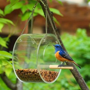 Acrylique Transparent fen&ecirc;tre Mangeoire Ronde Semi-ferm&eacute; Oiseaux d'alimentation Station de fen&ecirc;tre Hanging-Type Birdhouse avec cha&icirc;ne en m&eacute;tal pour