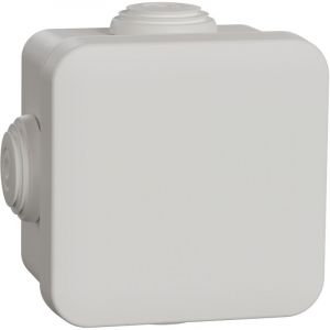 Schneider Electric - Mureva Box boite de d&eacute;rivation avec embouts 65x65x45 IP55 blanc polaire schneider IMT05022