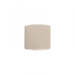Somfy - 1810626 - Récepteur Universel Rts 120V