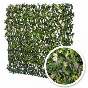 Treillis extensible feuilles de jasmin fleuri, Long 12 m, Hauteur 1 m