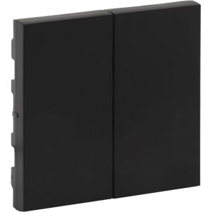 Nilo&eacute; Step double cl&eacute; pour interrupteur et interrupteur noir mat Legrand 864505