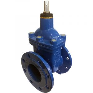 Vanne à guillotine EcoValve pour eau, à brides DN50, PN16, courte F4, à joint souple, EPDM, vis en acier inoxydable A2-70, sans volant, fonte GJS