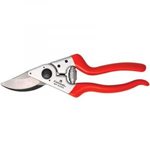 S&eacute;cateur Maxforged pour gaucher 25 cm Corona BP6340