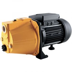 Rondy - Pompe de surface mono-cellulaire 750W - Hauteur de refoulement max 43m