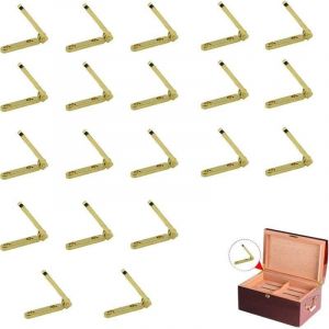 Alovez - 20 Pièces Charnière Inox Charniere Porte Placard - Mini Invisible Meuble Barrel Laiton Cachées BoîTe Bijoux Diy Cadeau Bois Pour Maison