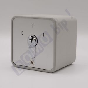 GEBA S APZ 1-1R/2 - Contacteur &agrave; cl&eacute; MARCHE/ARR&Ecirc;T en applique pour automatisme portail/garage - Retour automatique par ressort - 3 cl&eacute;s incluses