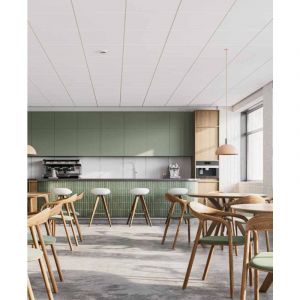 Knauf - Dalle plafond acoustique Alpha 20 600x600x20mm - blanc carton de 12 dalles - 4.32m²