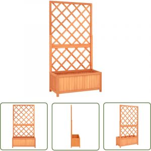 The Living Store Jardini&egrave;re &agrave; treillis jardin Marron 70x30x135 cm Bois de sapin - Jardini&egrave;re En Bois - Jardini&egrave;re &agrave; Treillis - Pot De Fleurs