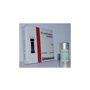L'ebenoid - Fusible 100A cartouche 22X58mm aM usage industriel (boite de 10) hpc 120kA 500V avec percuteur ebenoid 060590