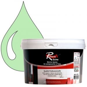 Peinture R&eacute;sine 0.5L - Multisupport RAL 6019 - Vert blanc - Brillant - Monocouche