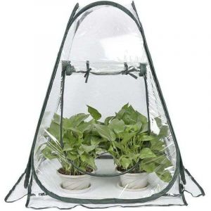 Mini Serre Pop Up - Petite Tente D'hivernage Pour Plantes - Pot De Fleurs - Mini Serre - Protection Hivernale Pour Plantes (70 X 70 X 80 Cm)