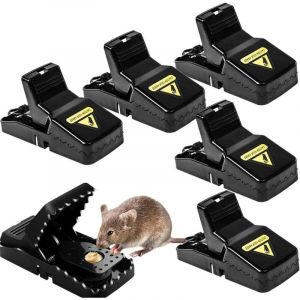 Pi&egrave;ge &agrave; souris, pi&egrave;ge &agrave; souris, pi&egrave;ge &agrave; souris domestique en plastique, outil de contr&ocirc;le des rongeurs sensible, pi&egrave;ge &agrave; souris, planche &agrave; souris