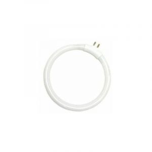 T4 12W 120mm G5 6400K tube fluorescent circulaire