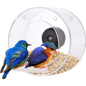 Mangeoire &agrave; oiseaux avec fen&ecirc;tre transparente avec ventouse pour cam&eacute;ra Wifi, mangeoire ronde transparente intelligente avec carte TF de 16 Go, prise