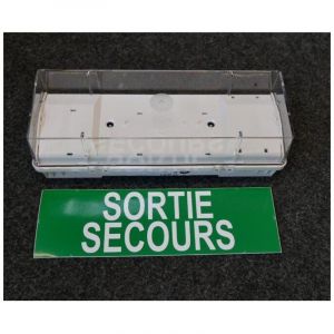 Luminox - Bloc d'evacuation baes etanche 245x80x92mm 2 led 1.6W 45lm portee 15M alim 24-110Vcc IK10 IP66 Cooper