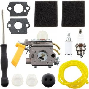 Carburateur C1U-H60 308054012 avec filtre &agrave; air pour taille-haie Ryobi Homelite 25cc 26cc 30cc 46cc tron&ccedil;onneuse 308054003 308054008, Ryobi RBC30SET