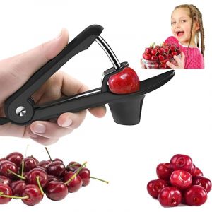 D&eacute;noyauteur &agrave; Cerises en Acier Inoxydable,D&eacute;noyauteur Olives, Denoyauteur Cerise et Prune D&eacute;noyauteur de Cerises Manuel(noir)