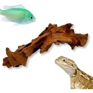Racine de mangrove BioRoot pour terrarium et aquarium XS 10 cm