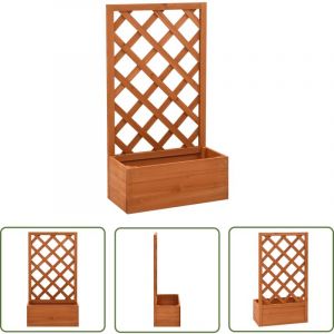 The Living Store - Jardini&egrave;re &agrave; treillis de jardin Orange 50x25x90cm Bois de sapin - Jardini&egrave;re - Pot De Fleurs - Plante Grimpante - Treillage - Bois
