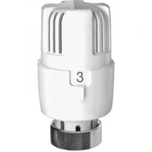 Tete Thermostatique Expert M30