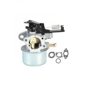 Aiperq - Carburateur avec joints adapté pour Briggs et Stratton 2700-3000PSI Troy Bilt laveuse électrique 7.75 Hp 8.75 Hp 8.5Hp 594287