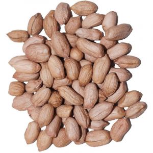 Agrarshop Arachide light skin 25 kg nourriture pour oiseaux hivernaux m&eacute;sanges