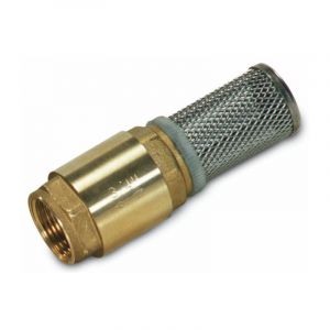 Lem Select &ndash; Cr&eacute;pine de fond inox G 2' &ndash; Clapet anti-retour &ndash; Filtration efficace pour tuyau d'aspiration &ndash; &Eacute;vite les retours d'eau