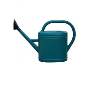 Dpzo - jamais UTILISÉ]Arrosoir Ovale 3 Litres avec Pomme d'Arrosage - Design Métal Vieilli Vert - Dimensions 40 x 12 x 29 cm - Pour Plantes