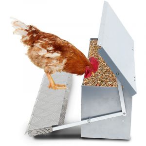 Randaco Mangeoire Automatique 5kg avec marches en aluminium, Anti-nuisibles, preuve de l'eau, Anti Gaspillage