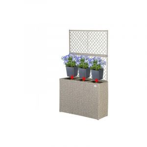 Jardinière bac en polyrotin Crème avec treillis mural pour accroche des plantes