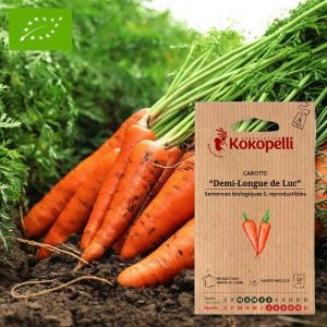 Carotte Rouge et Orange Demi-Longue de Luc- Graines bio &agrave; semer