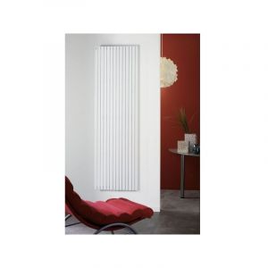 Acova - Radiateur Eau chaude Altai Vertical Double 814W - HYD-180-026
