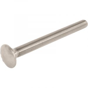 Boulon &agrave; t&ecirc;te ronde - Radix - M10 x 120 mm - RVS - DIN 603 (10 pcs)