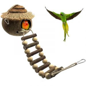 Nichoir &agrave; oiseaux naturel en noix de coco avec &eacute;chelle pour perroquets, moineaux et petits animaux &ndash; Nid de coquille de noix de coco pour jardin ou