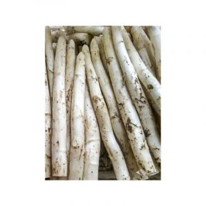 Asperge 'Argenteuil' le sachet de 125 graines (3g)