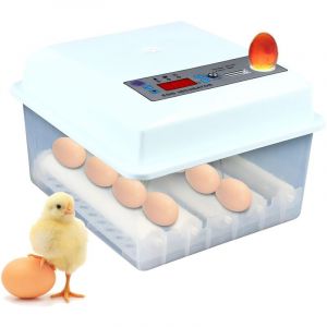 Couveuse entièrement automatique Mini couveuse à oeufs Couveuse à poulets Éleveur de surface 16 oeufs à couver Oeufs de canard Oeufs d'oie