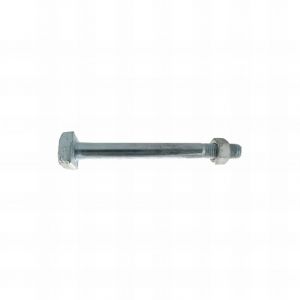 Rotofor - 15 boulons charpente tête carrée z. + écrous 18.0 x 250