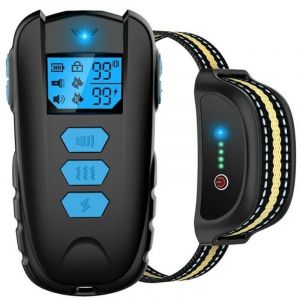 Support magn&eacute;tique avec ventouse - Compatible avec Coyote Mini, Coyote S et Smartphones - Se fixe au pare-brise ou au tableau de bord du v&eacute;hicule