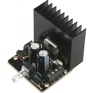 30W + 30W Classe AB Amplificateur Audio de Voiture 2.0 Immersion &agrave; Deux canaux Or Carte d'ampli st&eacute;r&eacute;o TDA7377 Mini DC12V Module amplifi&eacute;
