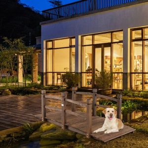 Pont de jardin en bois de 17 m de long pont de bassin decoratif avec protection antichute capacite de charge de 180 kg