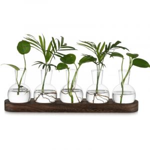 Petit Vase Fleur Vase Transparent: Terrarium Plante Hydroponie Vase en Verre avec Marron Plateau en Bois - 5pces Soliflore en Verre Terrarium Vegetal