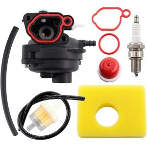 Appliquer à Carburateur Kit for Briggs & Stratton 300E 450E 799583 Moteur Series Pièces de Moteur de Tondeuse à Gazon et Filtre à Air Bougie