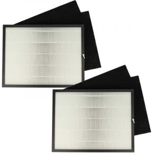 Vhbw - 6x Filtre remplacement pour Rowenta XD6040F0, H10 pour purificateur d'air - filtre à charbon actif, filtre hepa
